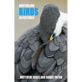 Australian Birds in Pictures