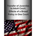 Transfer of Juveniles to Adult Court: Effects of a Broad Policy in One Court (Black and White)