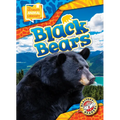 Black Bears