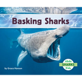 Basking Sharks