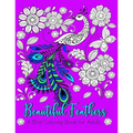 Beautiful Feathers A Bird Coloring Book for Adults