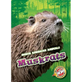 Muskrats