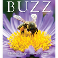 Buzz: A Book of Happiness for Bee Lovers
