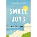 Small Joys