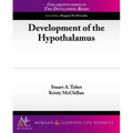 Development of the Hypothalamus