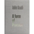 Adèle Naudé: A Form of Practice