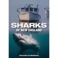 Sharks of New England