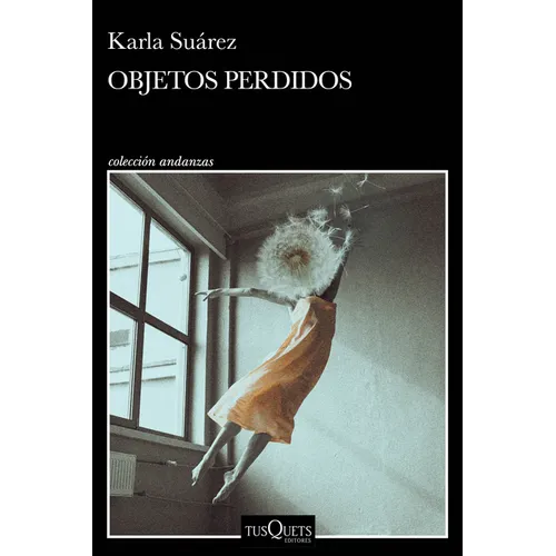 Objetos Perdidos (Novela) / Lost and Found (a Novel)