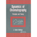 Dynamics of Chromatography: Principles and Theory