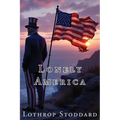 Lonely America