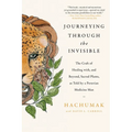 Journeying Through the Invisible