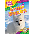 Arctic Foxes