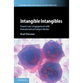 Intangible Intangibles
