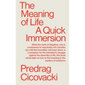 The Meaning of Life: A Quick Immersion