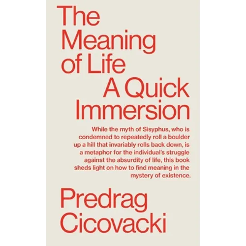 The Meaning of Life: A Quick Immersion