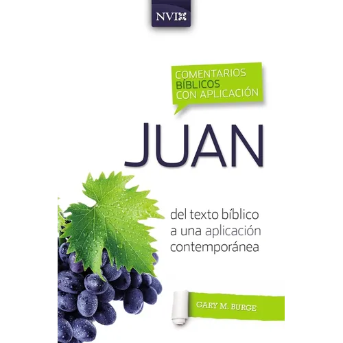 Comentario bíblico con aplicación NVI Juan: Del texto bíblico a una aplicación contemporánea