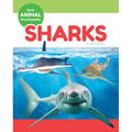Sharks