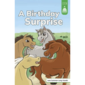 A Birthday Surprise