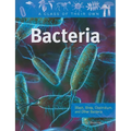 Bacteria: Staph, Strep, Clostridium, and Other Bacteria