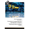 Production of n-butanol from the Hydrogenation of Butanal