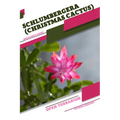 Schlumbergera (Christmas Cactus): Open terrarium, Beginner's Guide