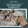 Petrified Forests