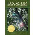 Look Up!: Musings on the Nature of Mindfulness
