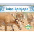 Saiga Antelope