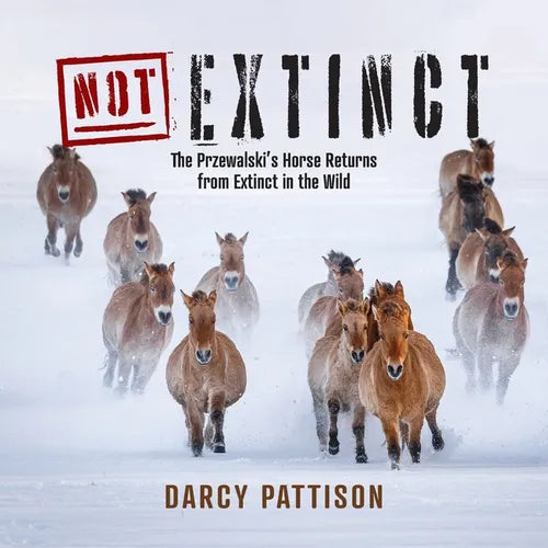NOT Extinct: The Przewalski's Horse Returns from Extinct in the Wild