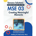 Mse 03: Creating Meaningful Moments