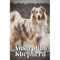 Australian Shepherd: How to train your dog and raise from puppy correctly