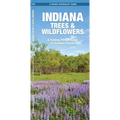 Indiana Trees & Wildflowers: A Folding Pocket Guide to Familiar Plants