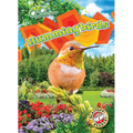 Hummingbirds