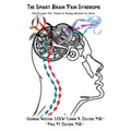 The Smart Brain Pain Syndrome: The Primer for Teens & Young Adults in Pain