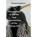 Peculiarities of the life and reproduction of the Anhinga bird