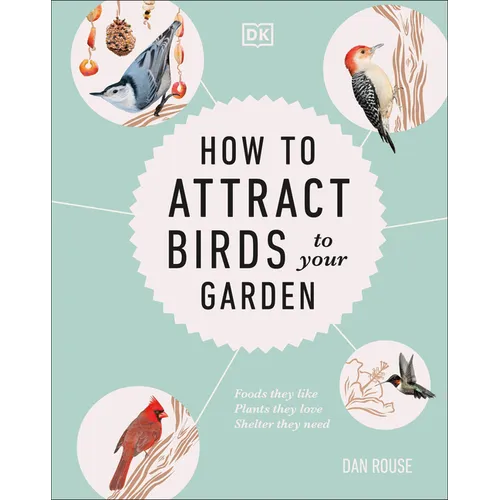 How to Attract Birds to Your Garden: Foods They Like, Plants They Love, Shelter They Need