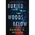 Buried in the Woods Below