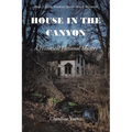 House in the Canyon: A Historical Fictional Mystery