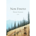 Non Finito