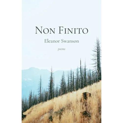 Non Finito
