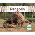 Pangolin (Pangolin)