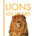 Lions / Los Leones