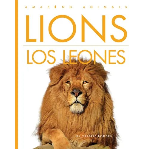 Lions / Los Leones