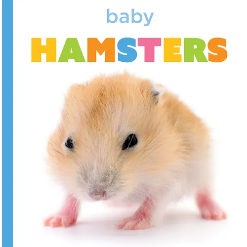 Baby Hamsters
