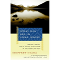 What You See in Clear Water: Indians, Whites, and a Battle Over Water in the American West