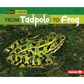 From Tadpole to Frog