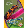 Milkweed Bugs