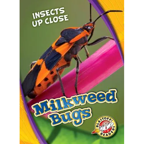 Milkweed Bugs