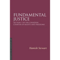 Fundamental Justice 2/E: Section 7 of the Canadian Charter of Rights and Freedoms