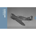 Hurricane Flip Book